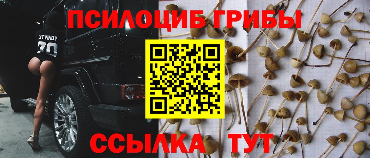 Псилоцибиновые грибы Magic Shrooms  Галлюциногенные грибы Psilocybine cubensis  Михайловка  Вход с VPN 